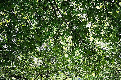 经典RPG《浪漫沙加2重制版》正式公布10月24日发售