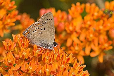 《东京都市谜案特搜事件簿》将于5月30日发售